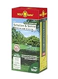 WOLF-Garten - Premium-Rasen »Schatten & Sonne«LP50; 3820030