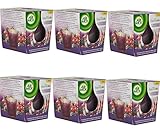 6x Air Wick Duftkerze Brombeere und Cranberry Essential Oils Ger - 105g