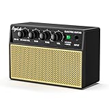 POGOLAB Gitarrenverstärker Mini Combo Amp 5WX2, Tragbare Gitarrenverstärker...