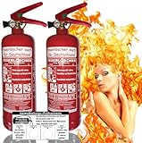 Brandengel 2 X 2kg Premium Autofeuerlöscher Pulverlöscher Feuerlöscher, LKW...