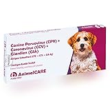 BestPlug Canine Parvovirus CPV + Coronavirus CCV + Giardien GIA Tier...