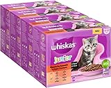 Whiskas Junior Katzennassfutter Klassische Auswahl in Sauce, 48 Portionsbeutel,...