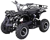 Actionbikes Motors Kinder Elektro Miniquad ATV Torino | 𝟭𝟬𝟬𝟬 Watt 36...