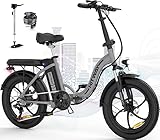 HITWAY E Bike Elektrofahrrad 20'' Fat Tire E-Fahrrad klapprad,250W/36V/11,2Ah...