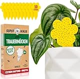 Super Ninja Trauermücken Bekämpfen - 30er Pack, hochwirksame Gelbtafeln für...