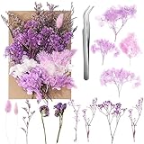 aurorayer Trockenblumen Natürliche Getrocknete Blumen für...