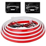 LANAFAY LED Tagfahrlicht 160cm, LED Tagfahrlicht 10-16V, Car Hood Light Strip...