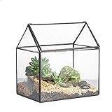 NCYP 15,5x11x16 cm Kleines Geometrisches Terrarium, Haus-Form, Glas,...