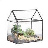 NCYP Klein Geometrisches Terrarium, 15,5x11x16 cm Handmade Pflanzencontainer,...