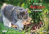 DUMONTS Katzenkalender 2021 - Broschürenkalender - Wandkalender - mit...