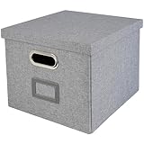 HMF Aufbewahrungsbox mit Deckel für DIN A4 Hängeregister | passend für Kallax...