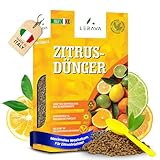 LERAVA® Zitrusdünger für alle Zitruspflanzen [Bio] - (800g) - Biologischer...