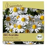 Samenliebe BIO Kamille Samen alte Sorte Echte Kamille Lutea Wildkräuter...