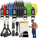 GYMERK Resistance Bands Set, Expander Fitness Mit Gummigriffe, Trainingsplakat,...