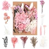 Trockenblumen,Natürliche Gemischte Getrocknete Blumen,Trockenblumen Zum...