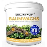Briliantwerk®️ 800g Baumwachs Wundverschluss I Wundverschluss für Bäume...