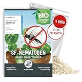 Plantura SF-Nematoden gegen Trauermücken, zum Gießen, hochwirksam &...