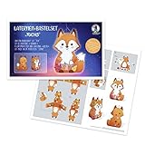 Ursus 18740001F - Laternen-Bastelset Fuchs, Komplett-Set zum Selber-Basteln...