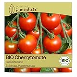 Samenliebe BIO Cherrytomaten Samen Zuckertraube besonders süße Cocktailtomate...