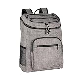 Amazon Basics Reusable Insulated Soft Cooler Backpack, 30 Can Capacity, Gray