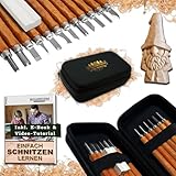HOLZWURM Holz-Schnitzwerkzeug Set - 17 teilig, inkl. Anleitung für ein...