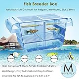 capetsma Fisch-Züchterbox, zum Aufhängen, für Kinderzimmer, mit...
