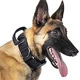OneTigris Hunde Halsband mit Metallschnalle für Hunde (Schwarz, L)