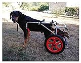 Hund Rollstuhl,Hunderollstuhl Hunderollwagen Gehhilfe,Passend für Haustier Cat...