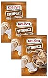 Kotanyi Steinpilze getrocknet (1 x 20 g) (Packung mit 3)