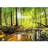 Runa Art Fototapete Wald Bach 352 x 250 cm Vlies Tapeten XXL Moderne Wandtapete...