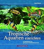 Tropische Aquarien einrichten: In zwölf Wochen zum gelungenen...