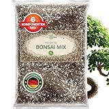 ORAGARDEN Bonsai Erde für Zimmerpflanzen und Garten - 3L Bonsai Substrat für...