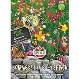 87840 Sperli Premium Blumenmischung Samen 1001 Nacht | Wildblumen Samen |...
