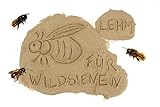 aktiongruen Lehmpulver zum Schließen & Einkleben von Niströhren /zum Basteln &...