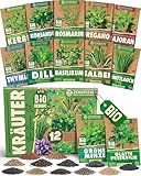 ZenGreens® - Bio Kräuter Samen Set - 12 Kräutersamen für den einfachen Anbau...