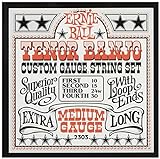 Ernie Ball Medium Loop End Stainless Steel Tenor-Banjo-Saiten, Stärke 10-30