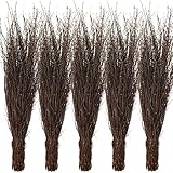 Agrarflora Strauchbesen aus Birkenreisig - Handgefertigt und 3-Fach gebunden,...