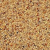 Supravit Exotenfutter 25kg - hochwertiges Mischfutter für exotische Finken -...
