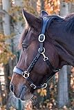Lederhalfter Pferd Warmblut Vollblut Halfter geflochten (Warmblut, schwarz)