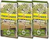 Floragard Bonsaierde 3x5L - Spezialerde für anspruchsvolle Bonsais - mit...