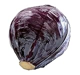 Bio Rotkraut, 700 - 1400 g