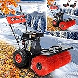 BRAST® Benzin Kehrmaschine | Laubsammler Motorbesen | 4,8kW(6,5PS) | viele...