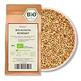 Kamelur 1kg BIO Alfalfa Sprossen Samen – Luzerne Samen BIO, Keimsaat ohne...