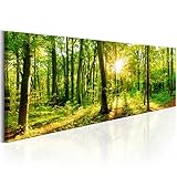 B&D XXL Acrylglasbild Wald 135x45 cm 1 Teilig Wandbild auf Acryl Glasbilder...