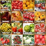 Prademir – Tomatensamen Set aus 16 seltenen & alten Sorten – Tomaten...
