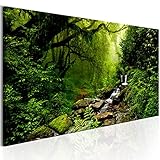 B&D XXL Acrylglasbild Wald 135x45 cm 1 Teilig Wandbild auf Acryl Glasbilder...