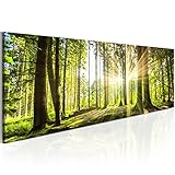 B&D XXL Acrylglasbild 135x45 cm 1 Teilig Wandbild auf Acryl Glasbilder...