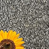 GardenGuru Wildvogelfutter 25kg, Schwarze Sonnenblumenkerne, Ideal für Vögel,...