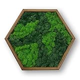 LoveLasy Bicolor Moos Wandbild Hexagon für Haus und Büro, Moosbild (oak frame,...