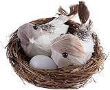 LNYMZD 1Set Simulation Vogelnest mit Vogel und Eier Dekor, Fake Schaum Feder...